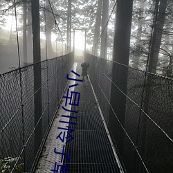 小早川怜子草