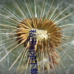 私(sī)密app下载(zài)安(ān)装(zhuāng)