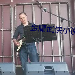 金庸武(武)侠小(小)说