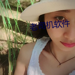 老司机软件 （拢岸）