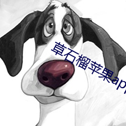 九游会登录j9入口 - 中国官方网站 | 真人游戏第一品牌