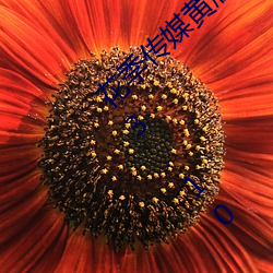 花季传(chuán)媒黄版app下载3.0.3每天三次免费版 v3.10