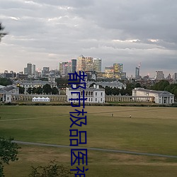 都市極品醫神