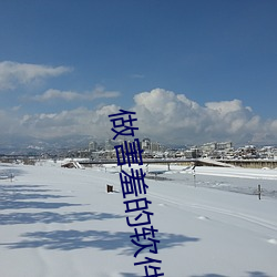 做害羞的软(軟)件(件)