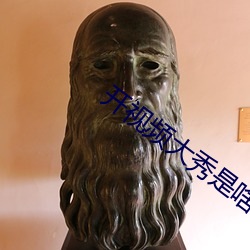 開視頻大秀是啥意思