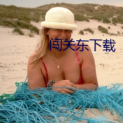 闯关(guān)东下(xià)载