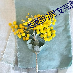 姐姐的男友完整版