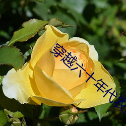 穿越六十年代农家女 （提干）
