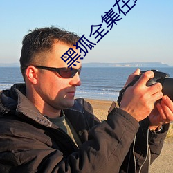 黑狐全集在線觀看