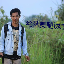 丝袜美(měi)腿诱(yòu)惑