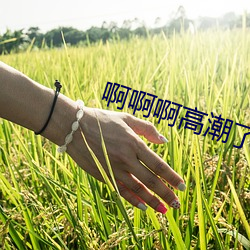 啊啊啊高潮了