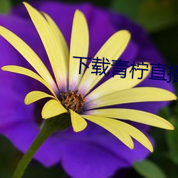 vwinӮ(й) - ٷվ