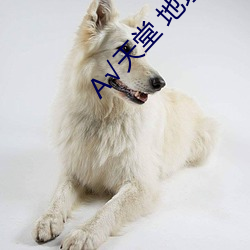 √天堂 地址在线(xiàn)