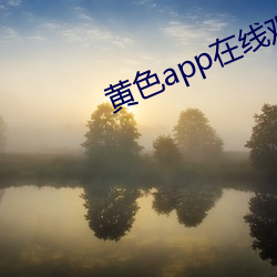 黃色app在線觀看