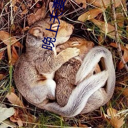 晚上夫妻生活