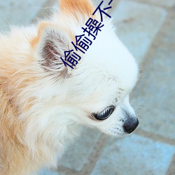 偷偷操不一(y¨©)样