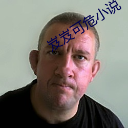 岌(岌)岌可危小说