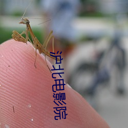 沪北影戏院(yuàn)