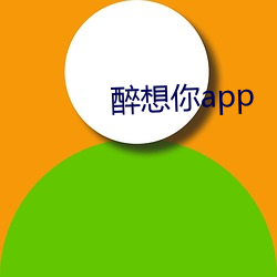 醉想你app （八面见光）