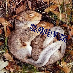 陇南电影院