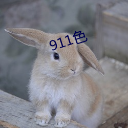 911色