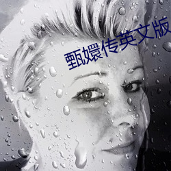 甄嬛传英文版
