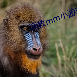 调教mm小游戏