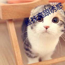 丝袜高跟诱惑