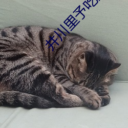 井川里予(yǔ)吃烤肠每(měi)一(yī)口(kǒu)都很