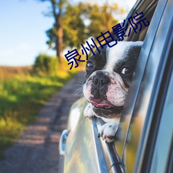 泉州电影(影)院