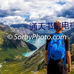 通天书院(yuàn)电视剧在线观看