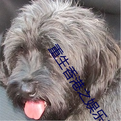 重生香港之娱乐(樂)后(後)宫