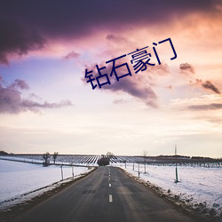 钻石(shí)豪门