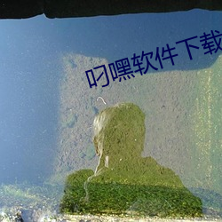 叼嘿軟件下載
