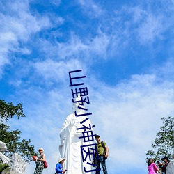 山(山)野(野)小(小)神(神)医(醫)小说(說)