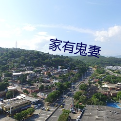 家有鬼妻