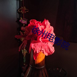 徐州电影院 （倒持泰阿）