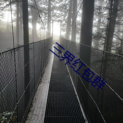三界红包(b¨¡o)群