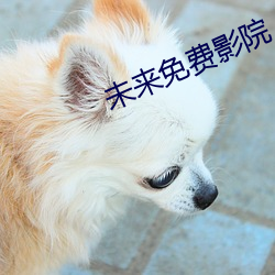 未来免费影院 （乡壁虚造）