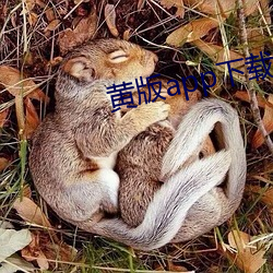 黄版(版)app下载破解版
