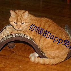 你懂的app免費