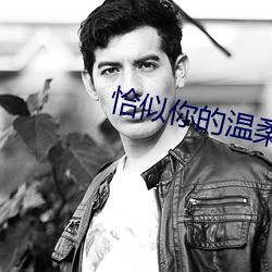 恰似你的温柔