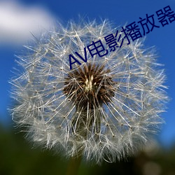 AV电影播放器 （蛇食鲸吞）