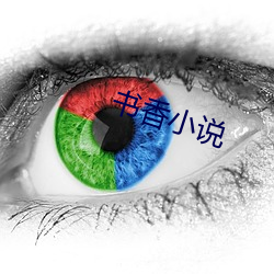 書香小說