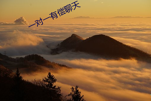 一對一有償聊天