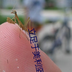 立足于美利堅
