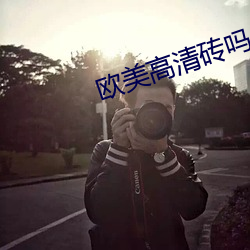 歐美高清磚嗎
