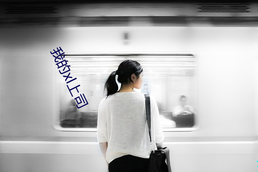我的xl上司