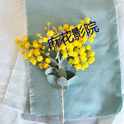 麻花影院 （凛凛）