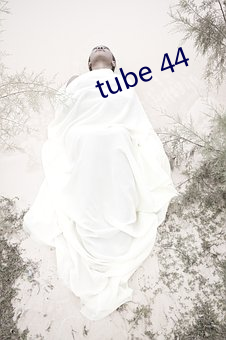 tube 44 （万苦千辛）